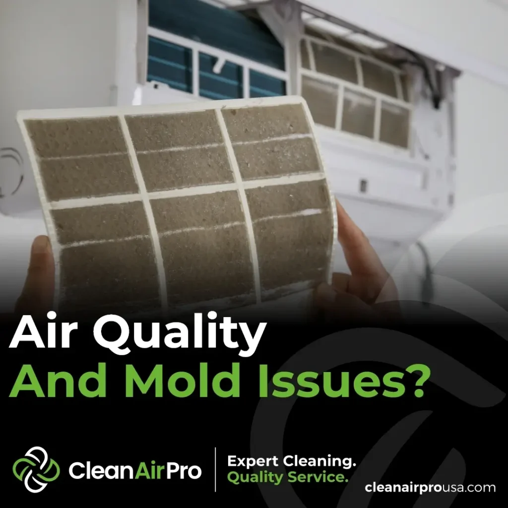 Presence Of Mold And Mildew